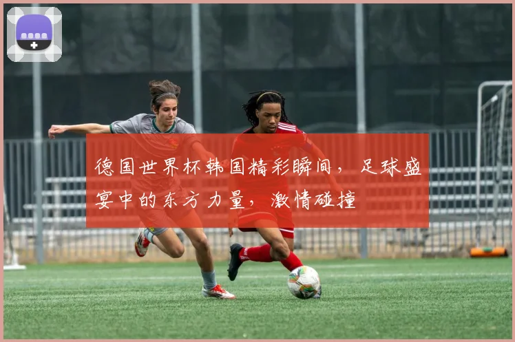 德国世界杯韩国精彩瞬间，足球盛宴中的东方力量，激情碰撞